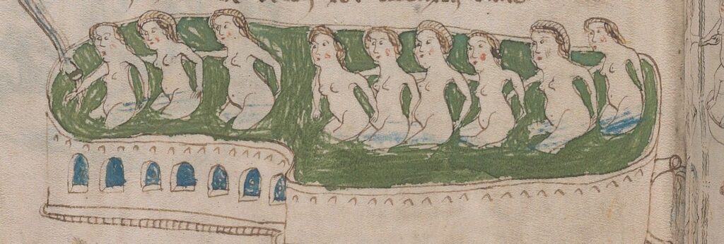 Close-up of the Voynich Manuscript showing 9 nude women in a bath of green fluid.
