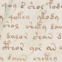 A close-up of unreadable light brown text from the Voynich Manuscript.