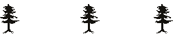 Decorative image used to separate blocks of text. Three pine trees stand in a row.
