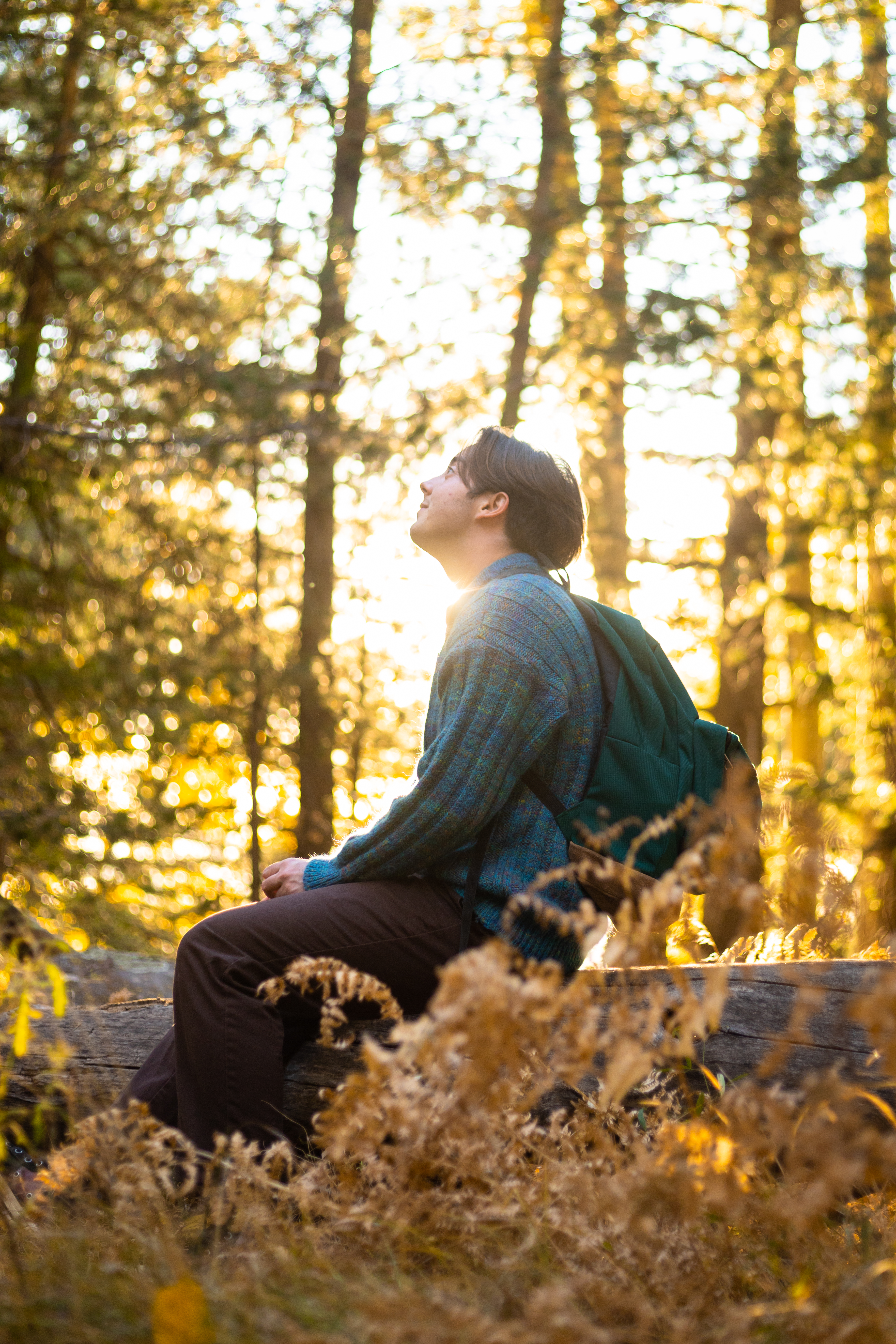 A young man wearing a teal sweater sits on a log among golden aspens.