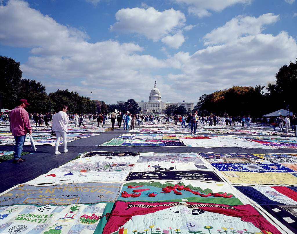 Assorted panels of an intricate quilt stretch on to a distant Capitol Building. People walk between panels.